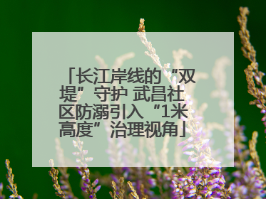 长江岸线的“双堤”守护 武昌社区防溺引入“1米高度”治理视角